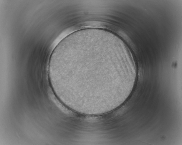 X0000112151378200909181412