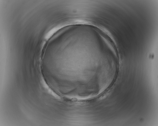 X0000112151381200909181412