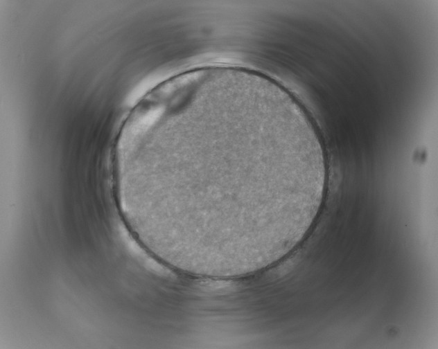 X0000112151382200909181412