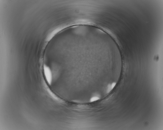 X0000112151383200909181412