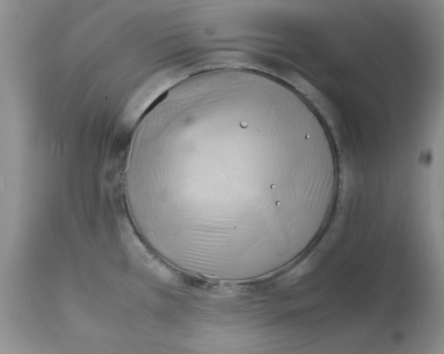 X0000112151385200909181412