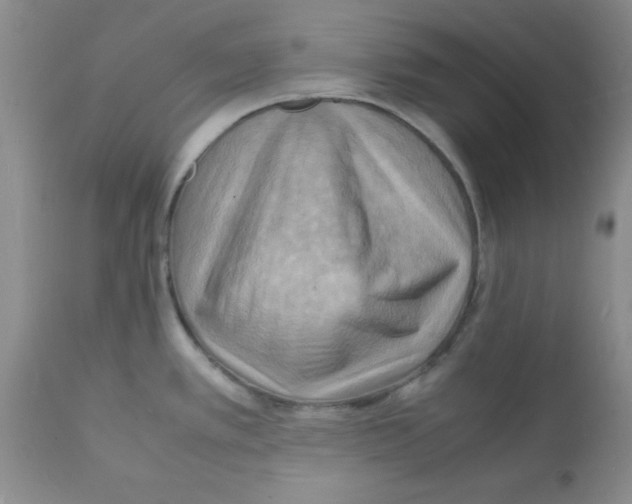 X0000112151389200909181412