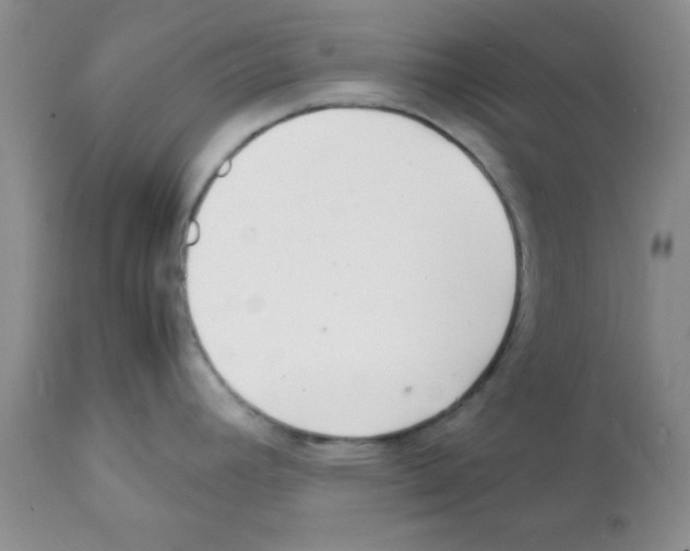 X0000112151392200909181412
