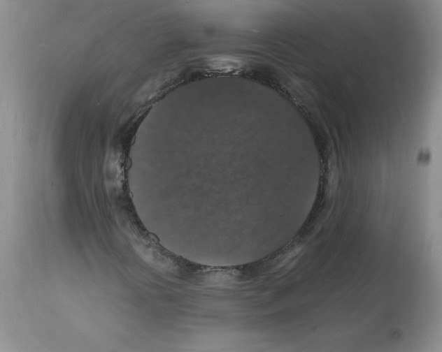 X0000112151394200909181411