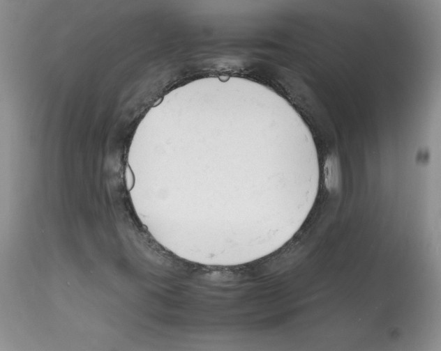 X0000112151395200909181411