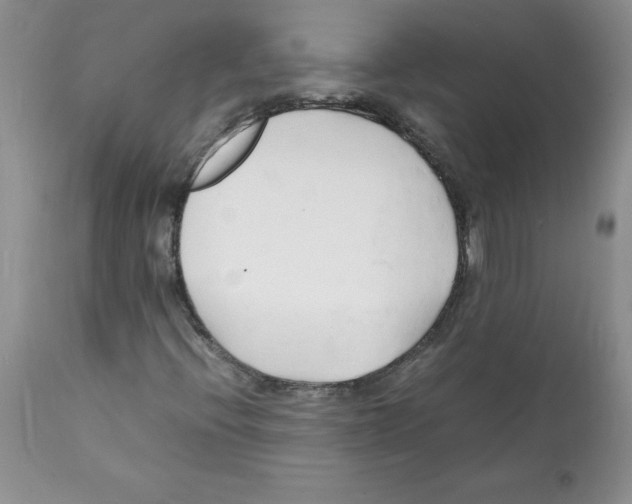 X0000112151396200909181411