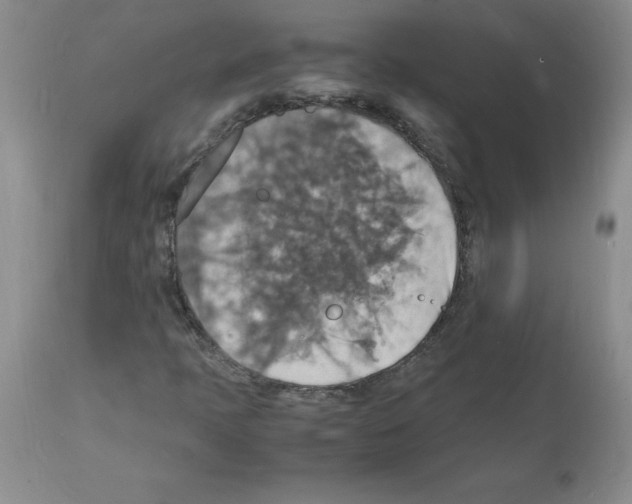 X0000112151397200909181411