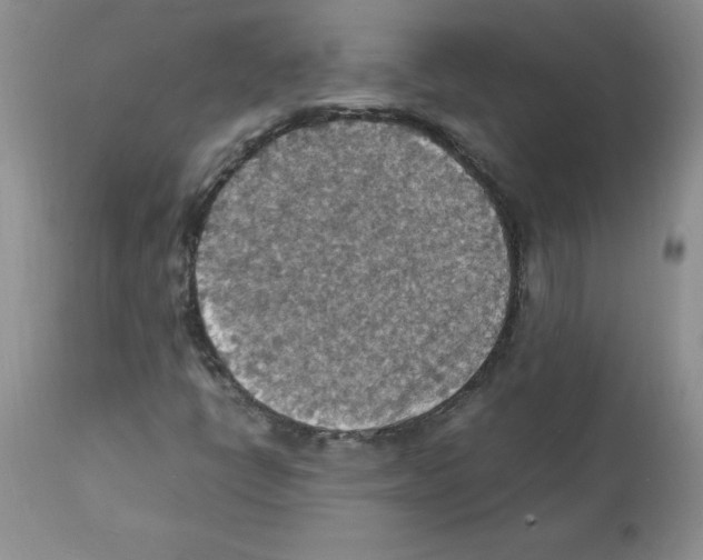X0000112151398200909181411