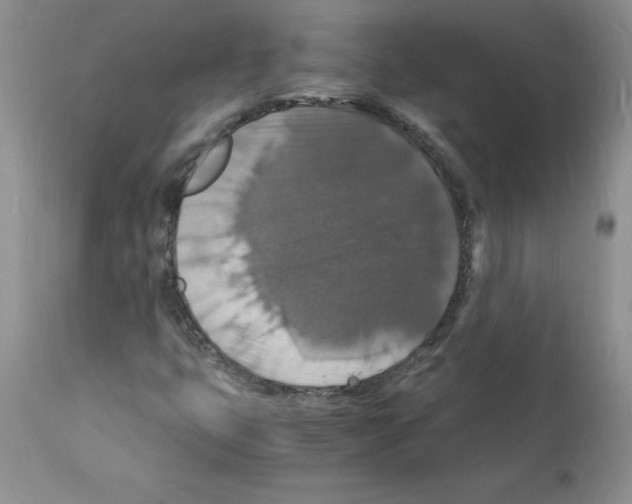X0000112151399200909181411