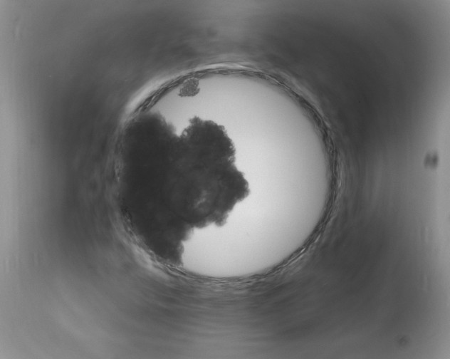 X0000112151400200909181411