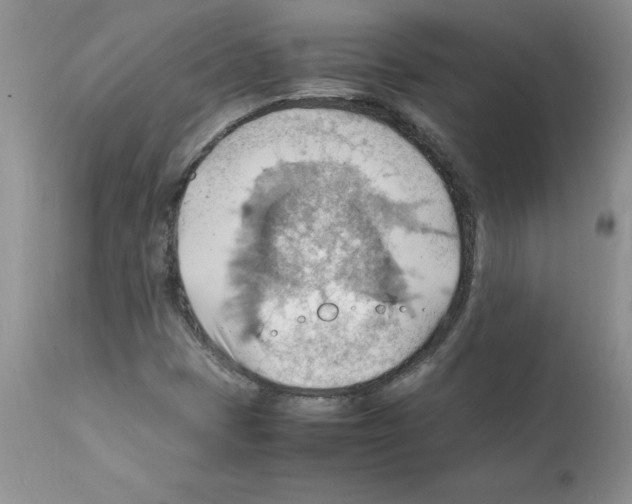 X0000112151401200909181411