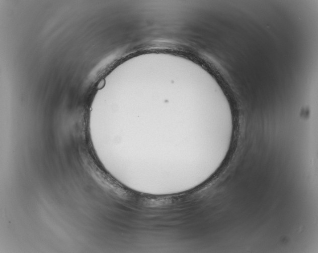 X0000112151403200909181411