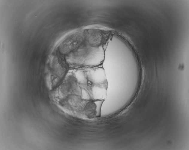 X0000112151405200909181411