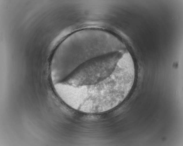 X0000112151411200909181412