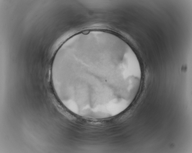 X0000112151413200909181412