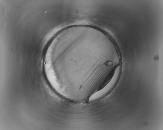 X0000112151414200909181412