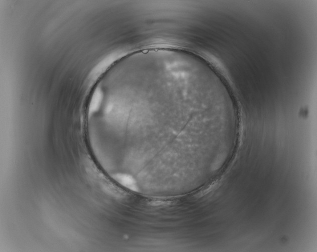 X0000112151419200909181412