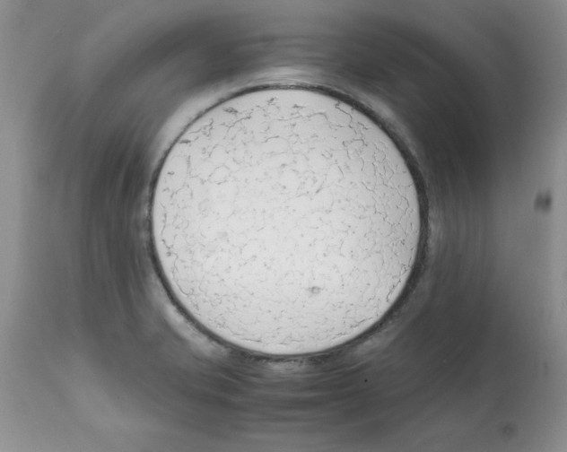 X0000112151421200909181412