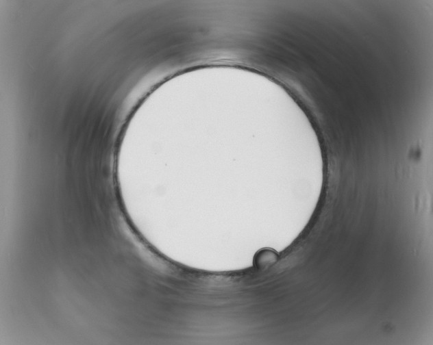 X0000112151424200909181412