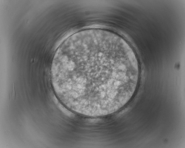 X0000112151425200909181412