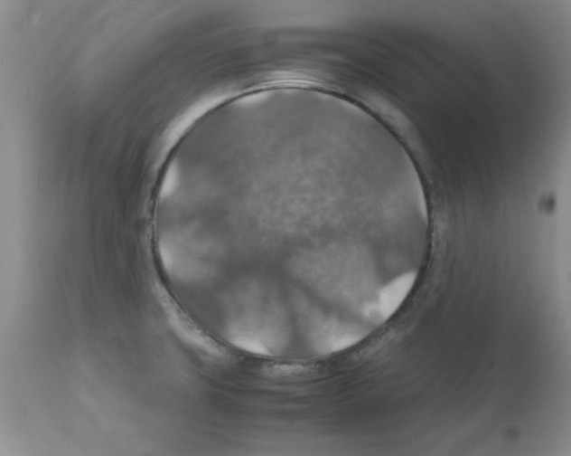 X0000112151427200909181412