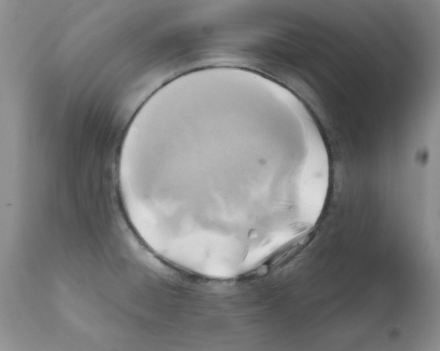 X0000112151428200909181412