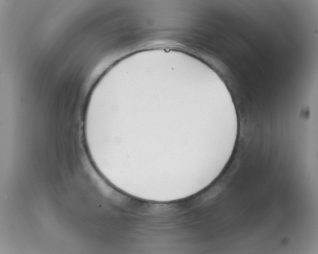 X0000112151430200909181412