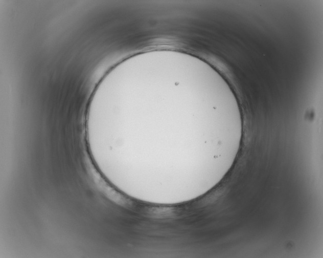 X0000112151431200909181412