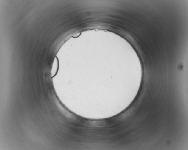 X0000112151433200909181412