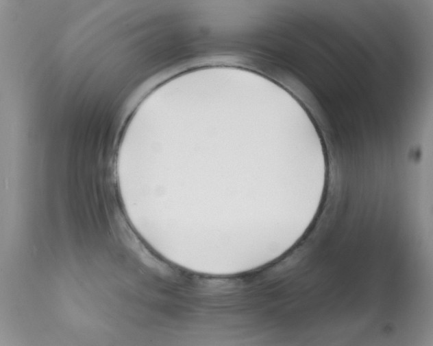 X0000112151436200909181412