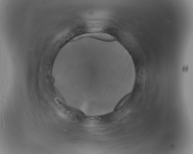 X0000112151441200909181411