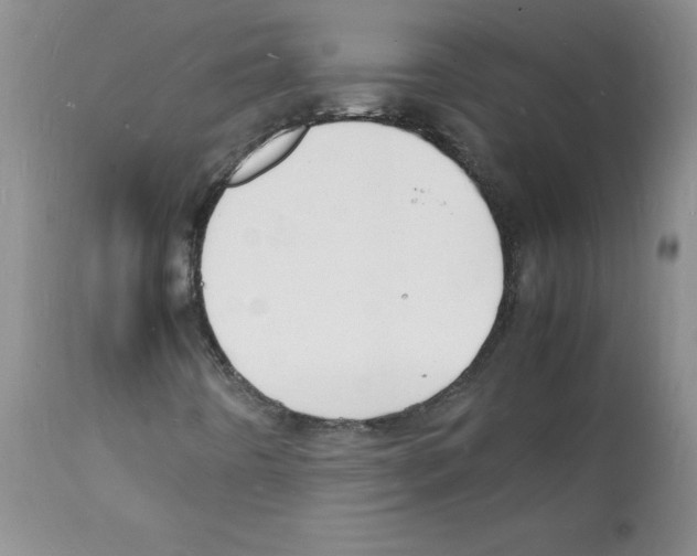 X0000112151442200909181411