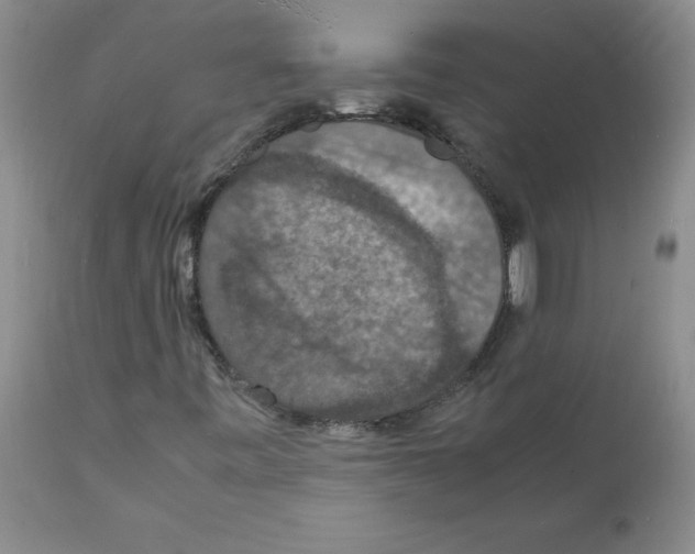 X0000112151443200909181411