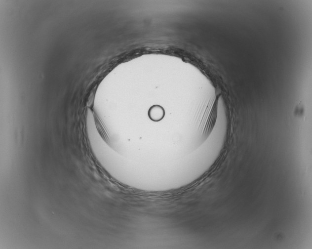 X0000112151445200909181411