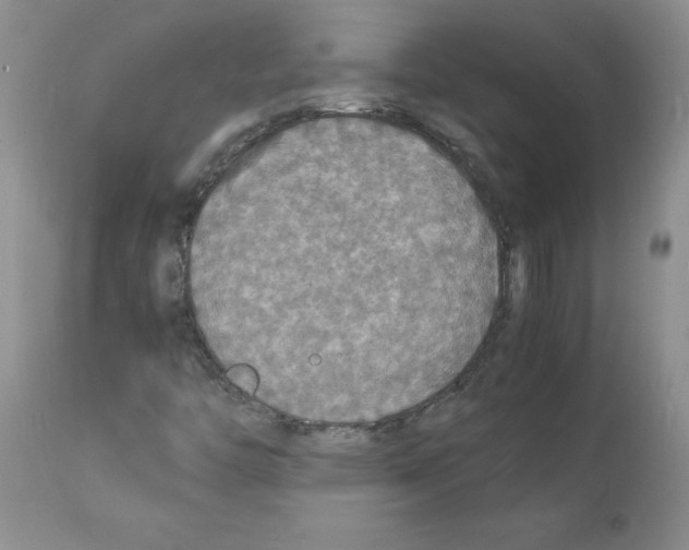 X0000112151446200909181411