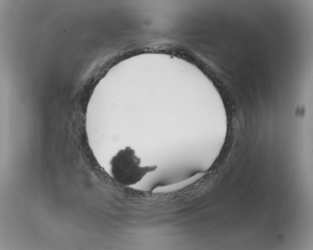 X0000112151447200909181411