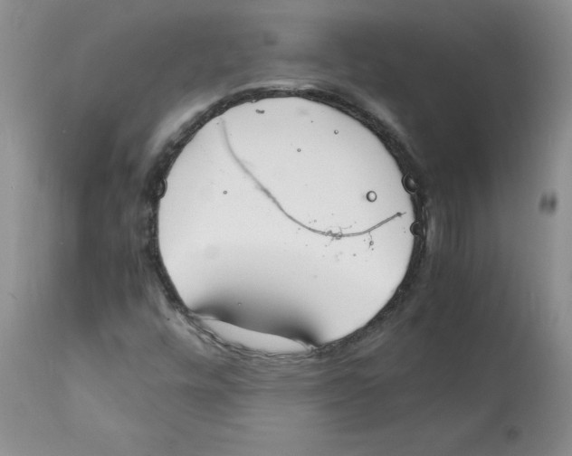 X0000112151448200909181411