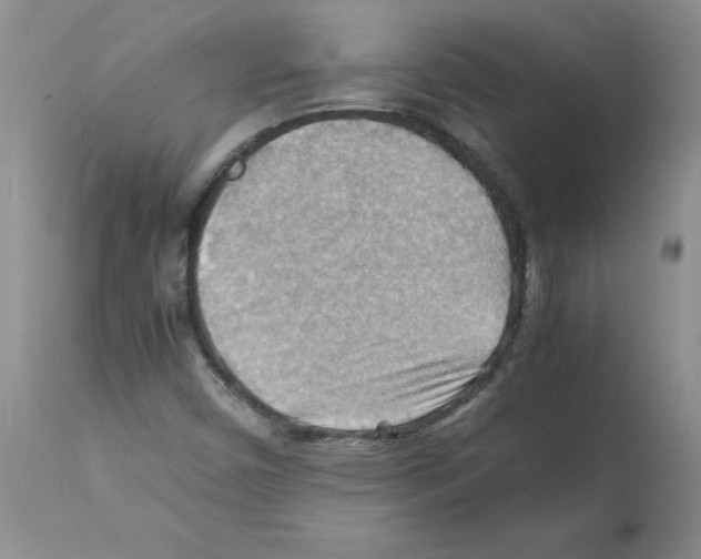 X0000112151450200909181411