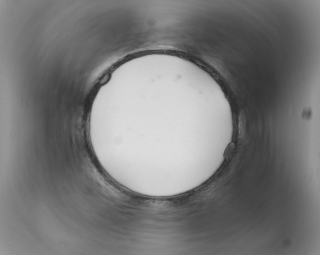 X0000112151452200909181411