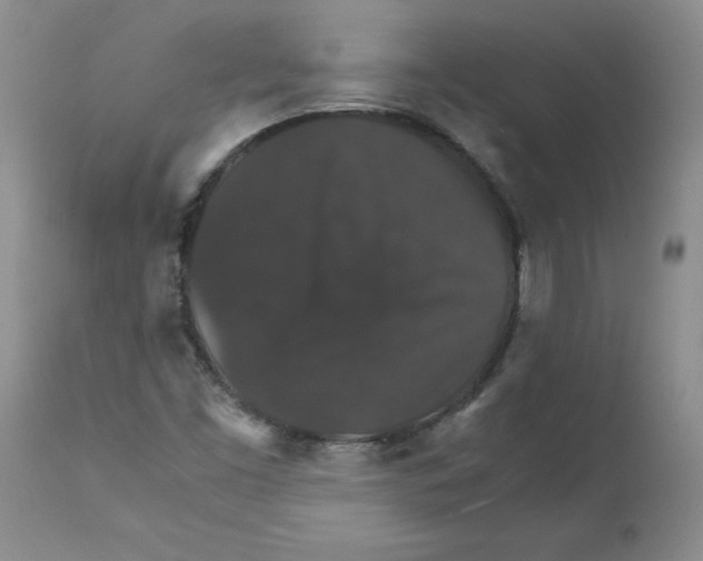 X0000112151453200909181411