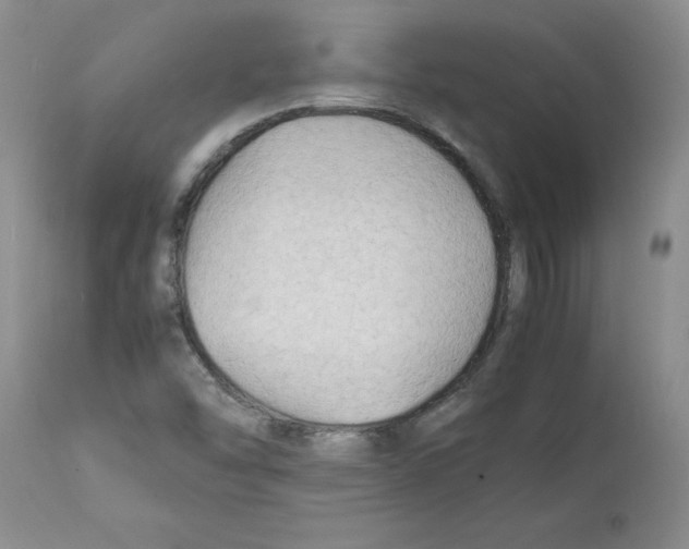 X0000112151454200909181411