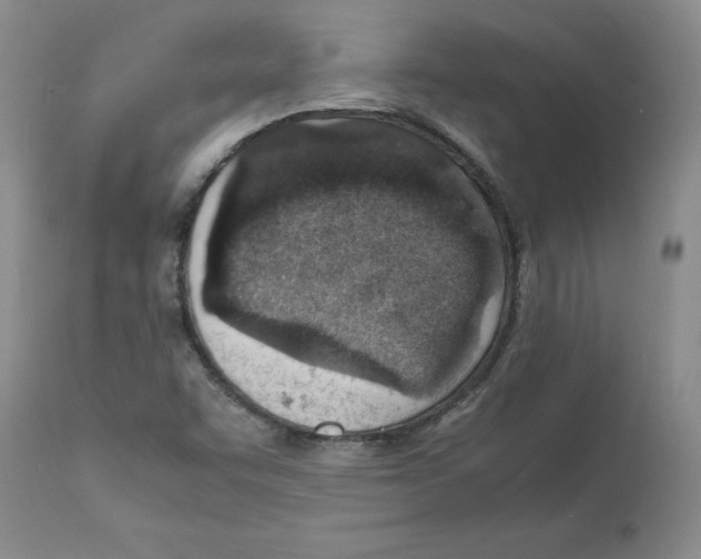 X0000112151455200909181411