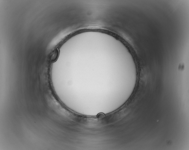 X0000112151456200909181411