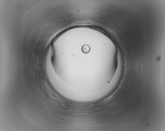 X0000112151457200909181411