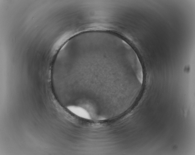 X0000112151459200909181411