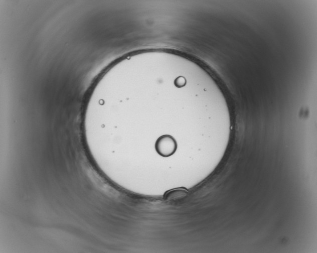 X0000112151460200909181411