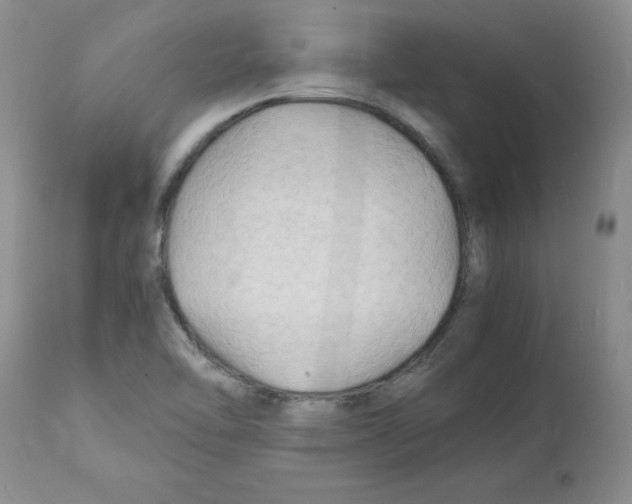 X0000112151462200909181411