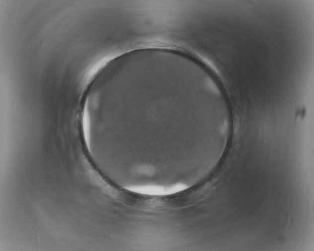 X0000112151463200909181411