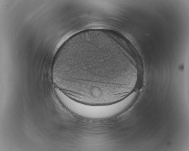 X0000112151465200909181411