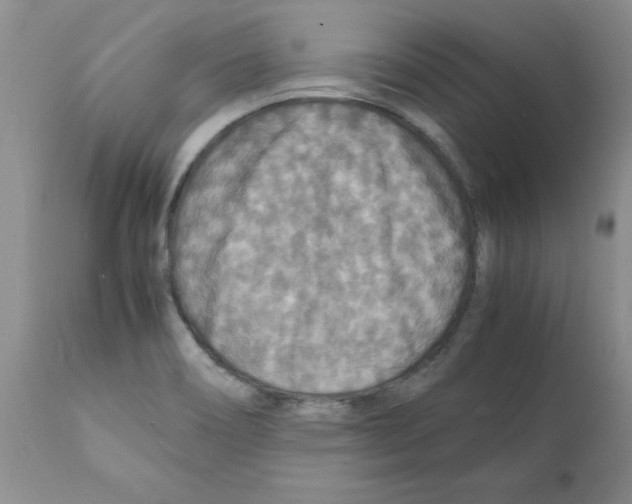 X0000112151466200909181411